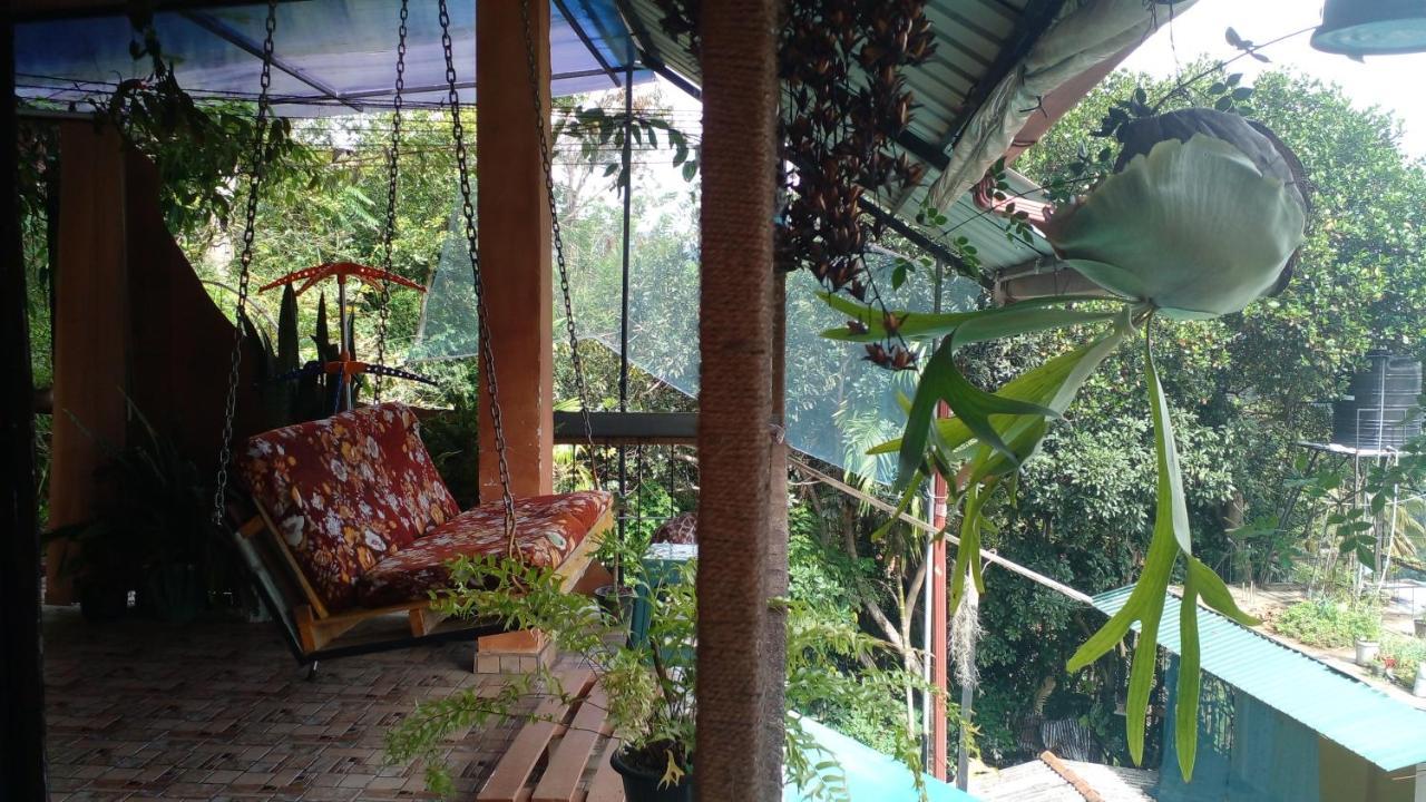 Secret View Homestay إيلا المظهر الخارجي الصورة